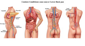 Image_fx (15)